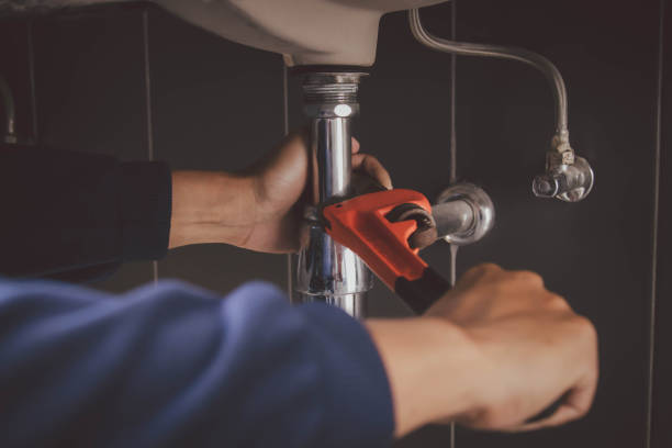 Best Plumbing Inspection Services  in Delta Junction, AK